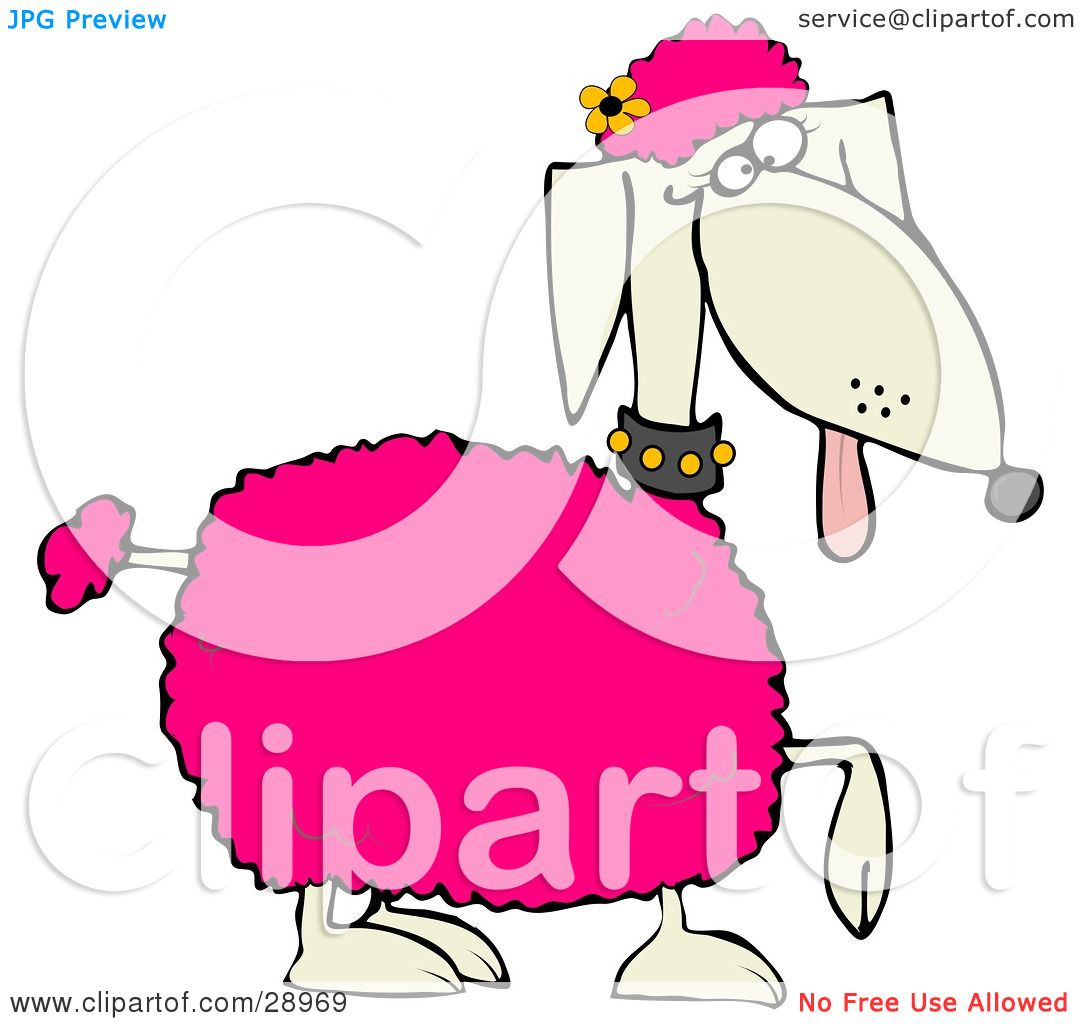 1080x1024 Clipart Illustration Of Poodle Dog With Pink Tufts Of Hairnd
