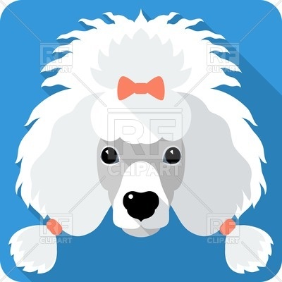 400x400 Face Of Poodle Dog