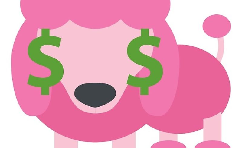 800x491 Poodle Face Clip Art Beauty Within Clinic