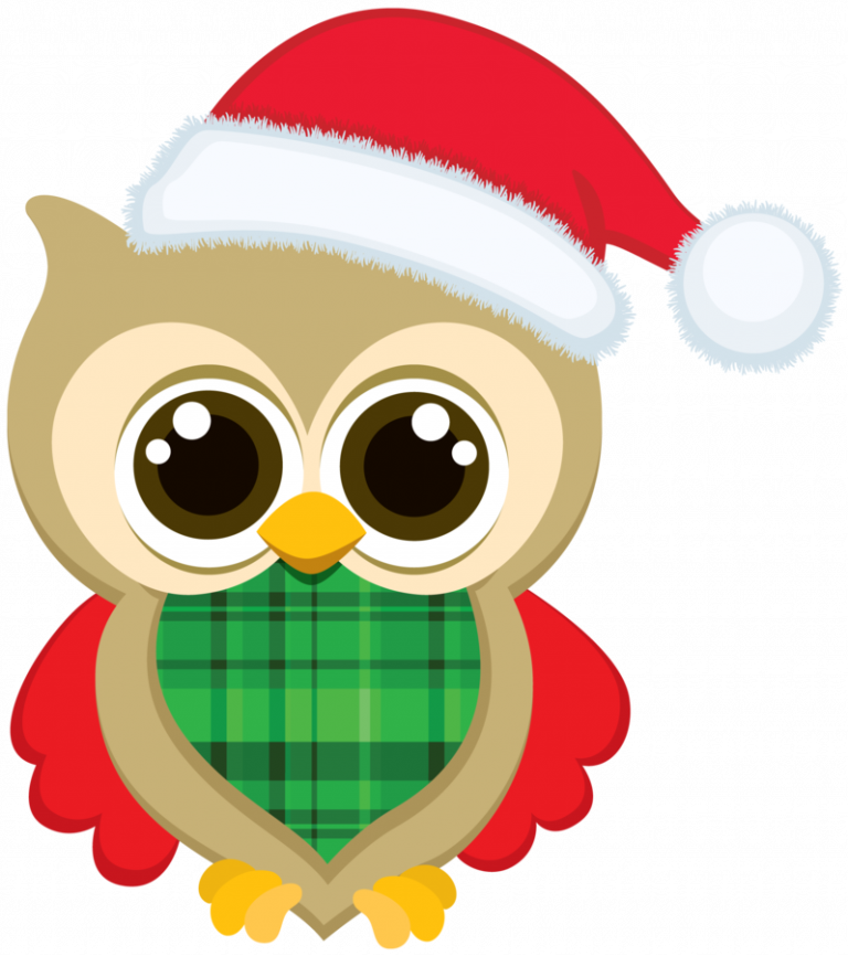 768x866 Clipart Christmas Owls Christmas Owl Clip Art Bellas Imgenes
