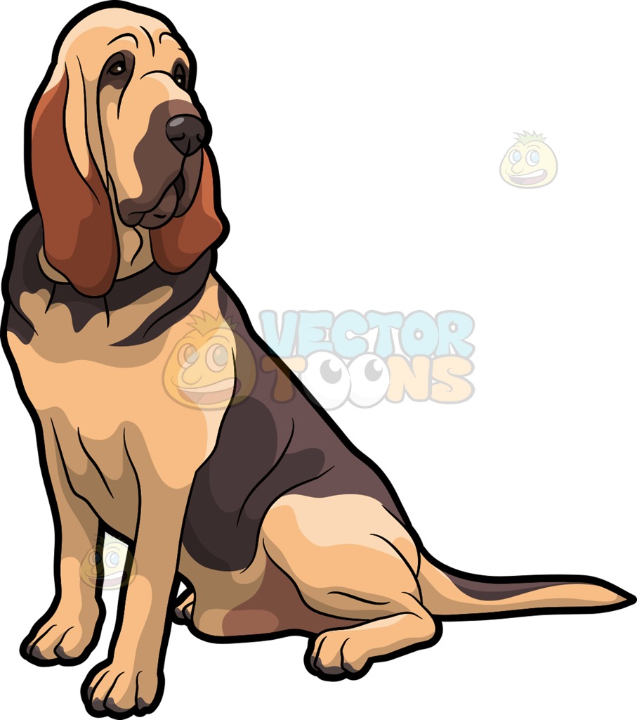907x1024 Dark Brown Pitbull Dog. A Fierce Bloodhound Pet Dog Cartoon