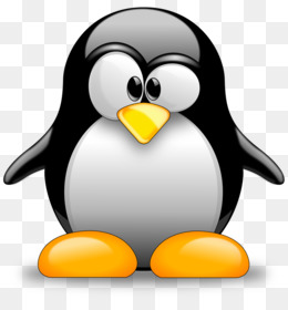 260x280 Penguins Png And Psd Free Download