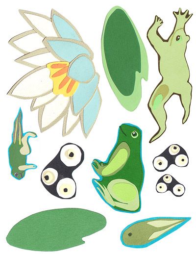 400x518 Hop Into Spring Tadpole To Frog Placemat Moomah The Magazine