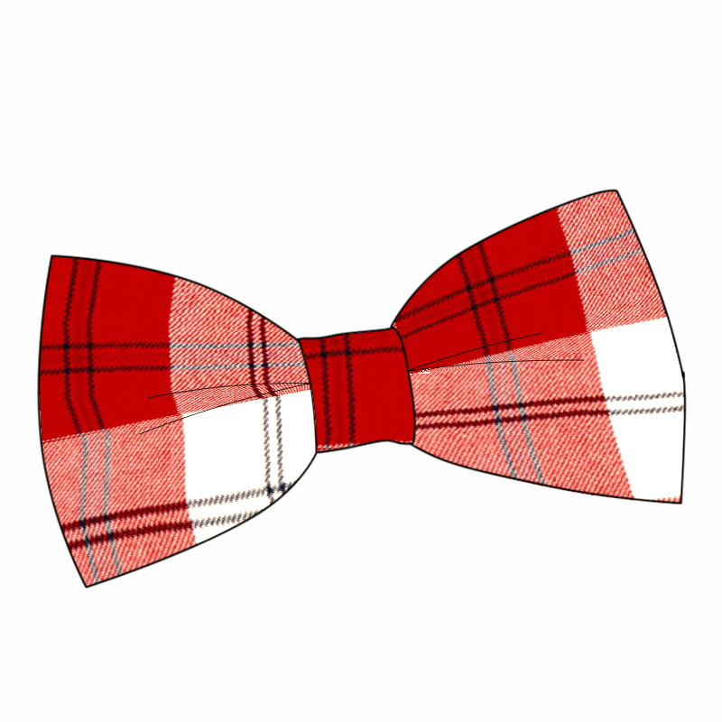 800x800 Tie Clipart Plaid Tie