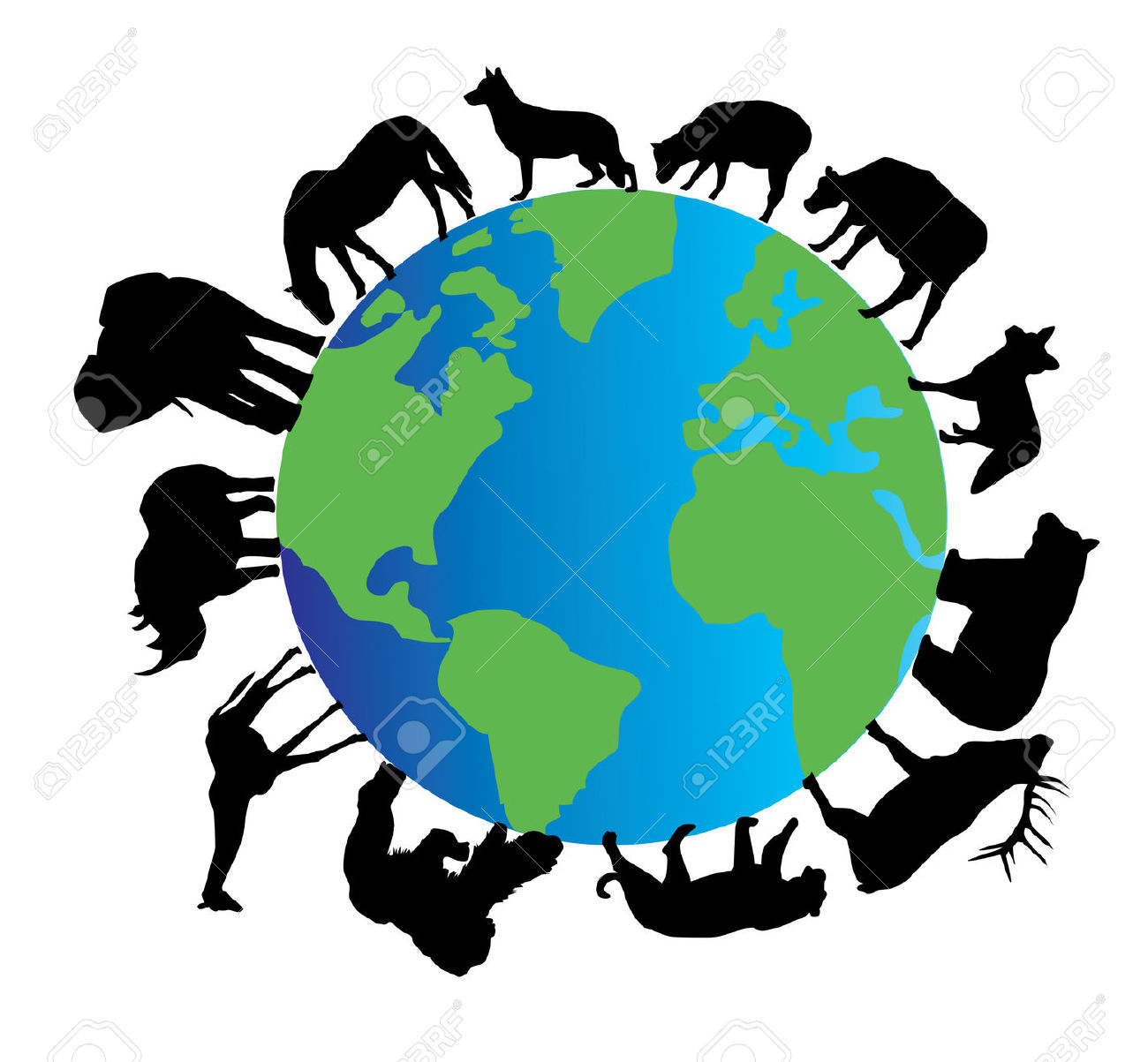 1300x1203 Animal Around The World Clipart