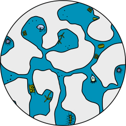 250x250 Sea Ice Algae Ask A Biologist