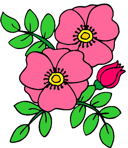 490x565 Flowers Clip Art Flowers And Plants