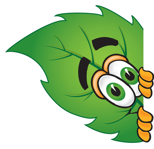 500x484 Plant Clip Art Images Clipart Panda