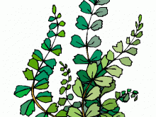 220x165 Clip Art Plant Free Plants Clipart Clip Art Pictures Graphics