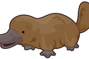 300x200 P Clipart Download Clipart Station Page 371