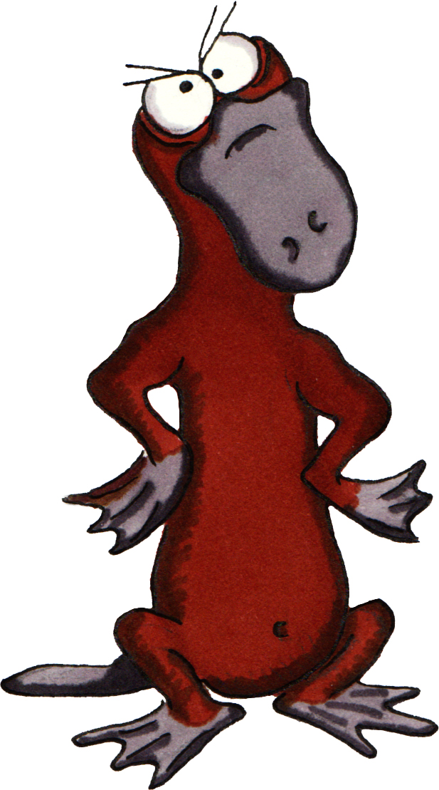 617x1109 Platypus Pictures Cartoon Free Download Clip Art 2