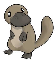 236x272 Platypus3.png Mood Board Platypus And Clip Art