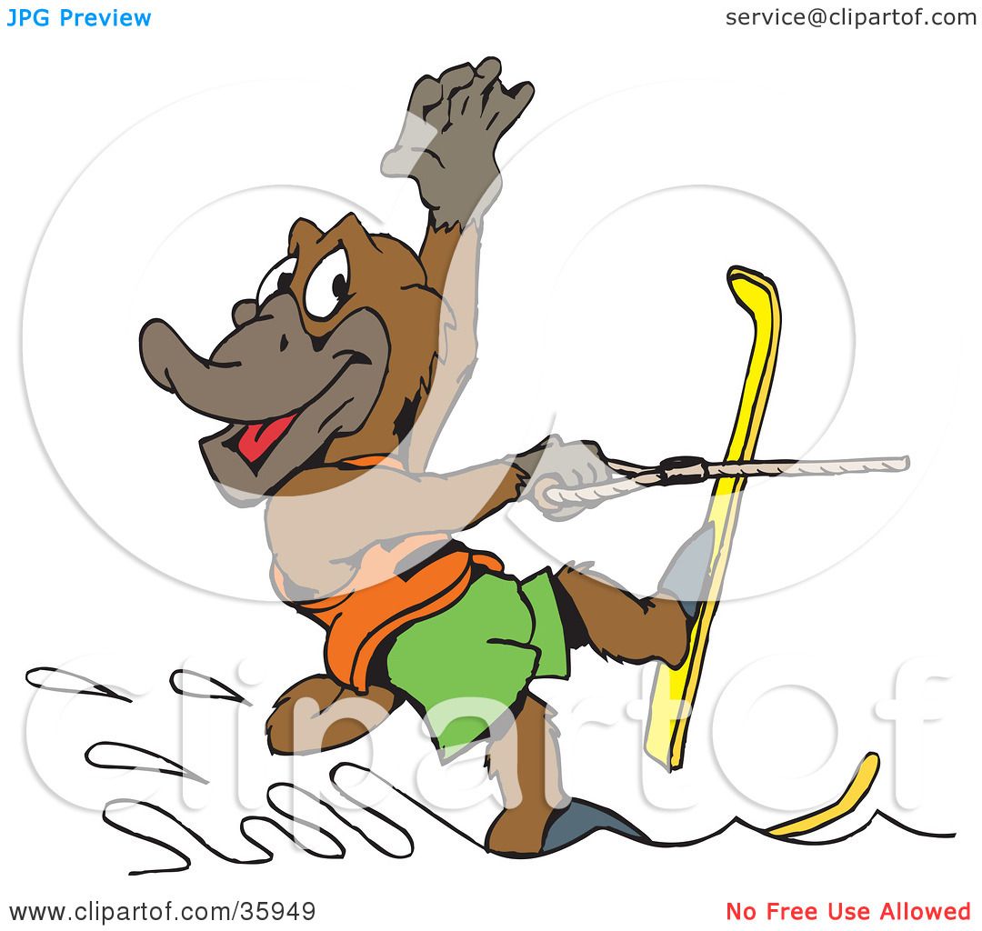 1080x1024 Clipart Illustration Of A Platypus Waving While Water Skiing Past