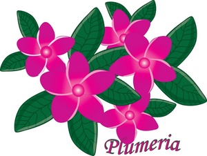 300x226 Flower Clipart Image