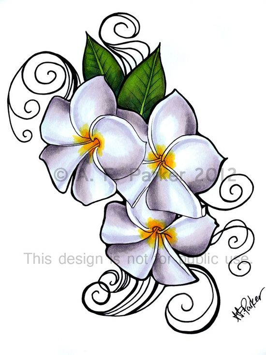 550x732 Frangipani Clipart Tribal