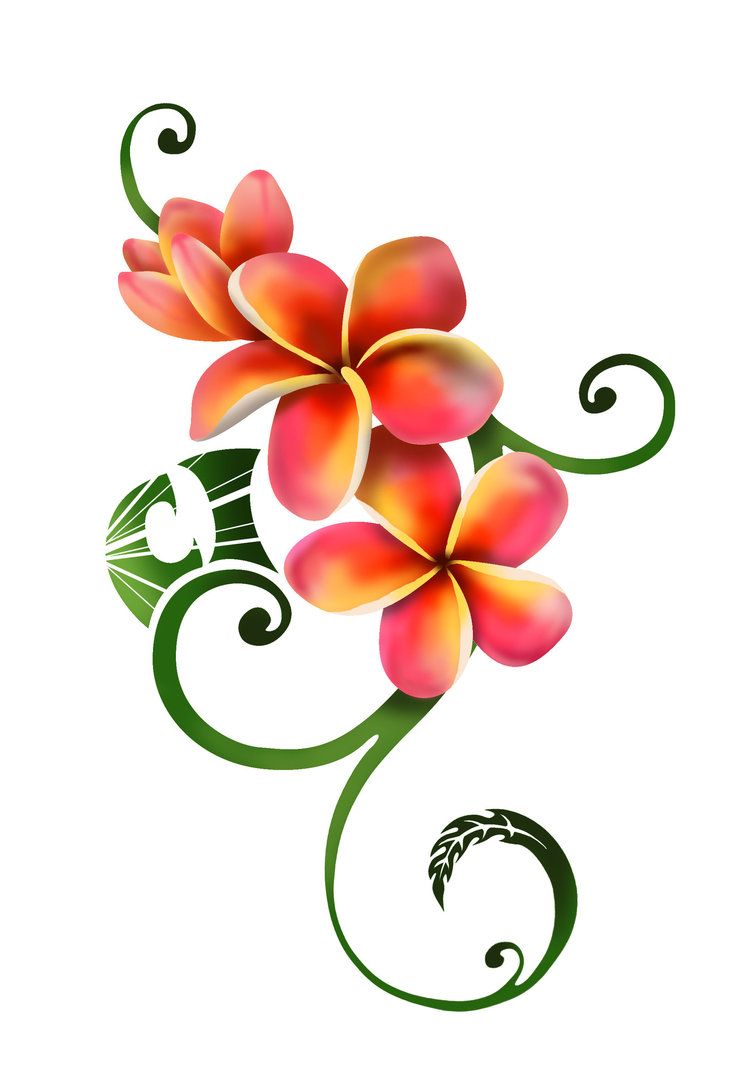 733x1091 Plumeria tattoo drawings Plumeria Tattoo By ~coyotehills