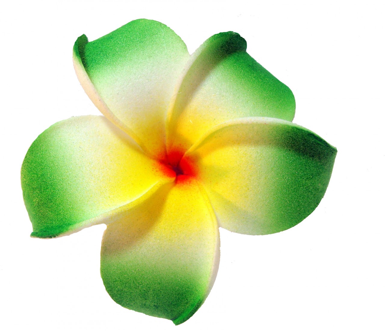 1280x1101 Plumeria Cliparts