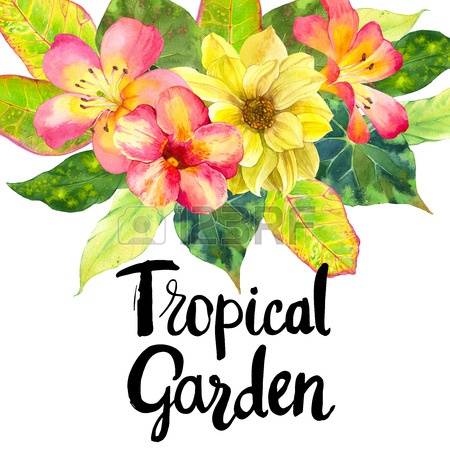 450x450 Plumeria Garden Clipart, Explore Pictures
