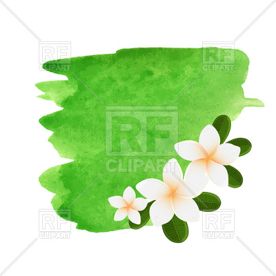 400x400 Watercolor Plumeria Flower Frame Royalty Free Vector Clip Art