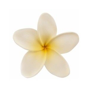 300x300 Scarlet W Blue Plumeria Clip Art Picture Images Hawaiian