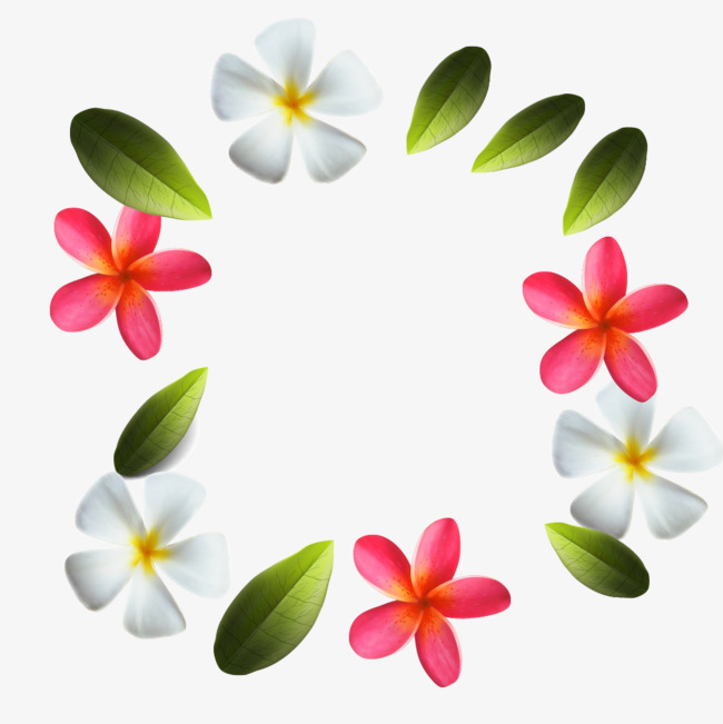 650x651 Plumeria Vector, Plumeria, Leaves Png And Vector For Free Download