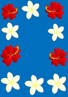 240x340 Free Cliparts Hibiscus, Rainbow, Plumeria