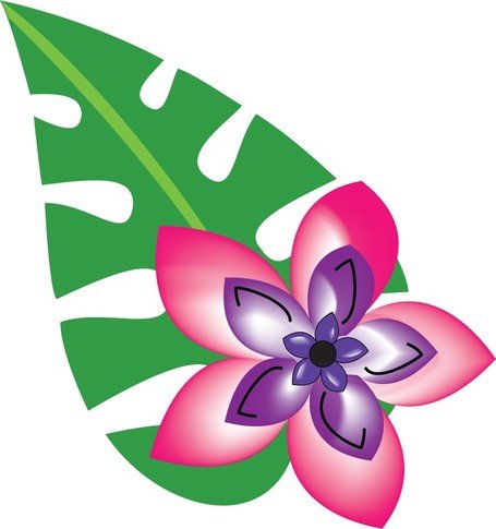 455x485 Free Plumeria Clipart And Vector Graphics