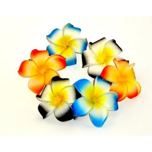 300x300 Hawaiian Plumeria Flower Clipart