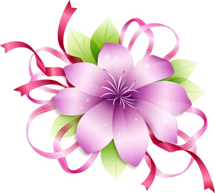 700x629 Png Clipart Flower Png Clipart Clip Art Library Download