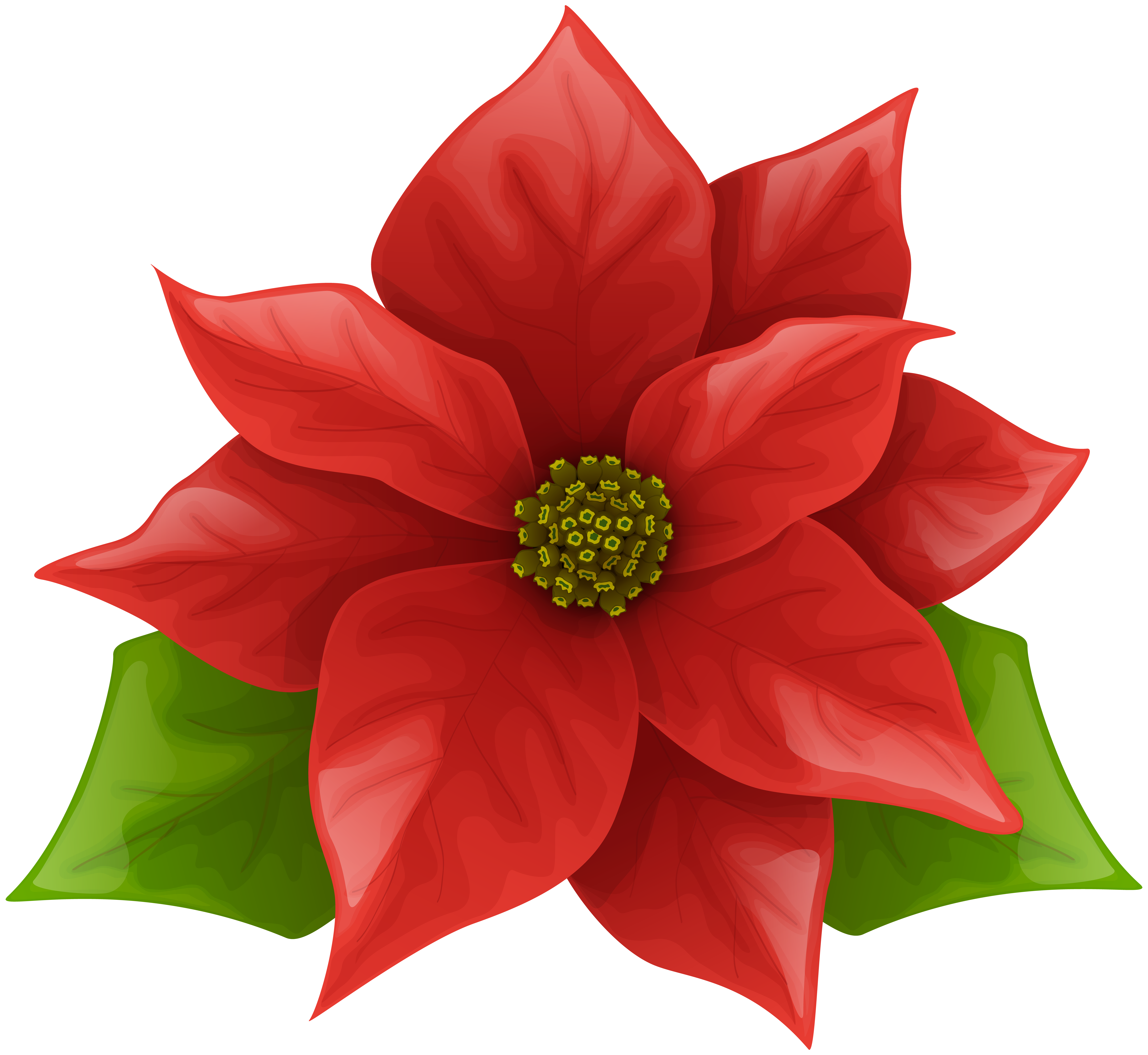 8000x7355 Christmas Poinsettia Png Clip Art Imageu200b Gallery Yopriceville