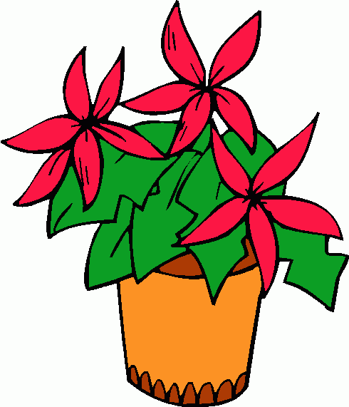 490x571 Christmas Poinsettia Clip Art Clipart