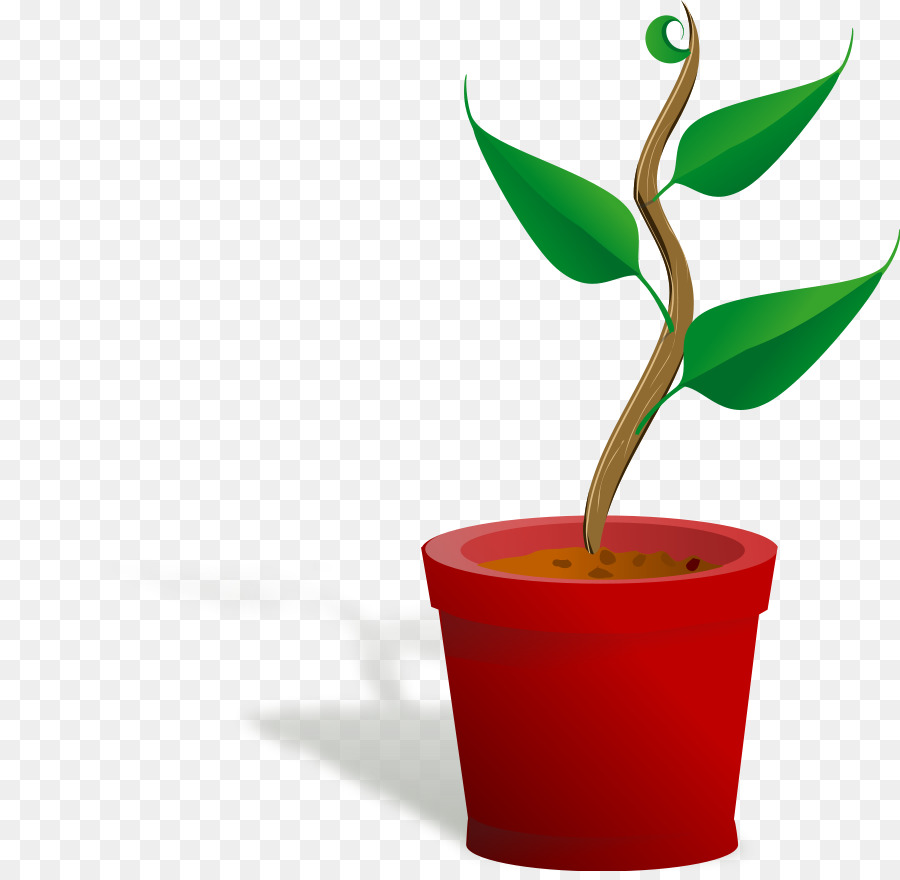 900x880 Plant Free Content Clip Art