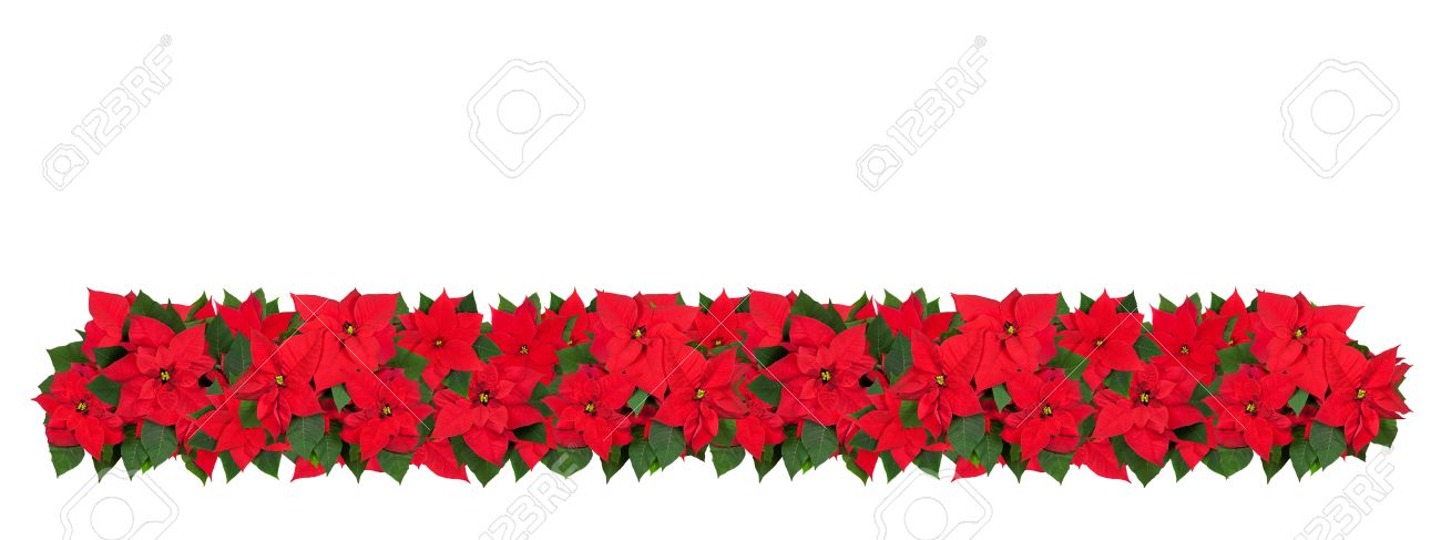 1300x487 Poinsettia Border Horizontal Happy Holidays!