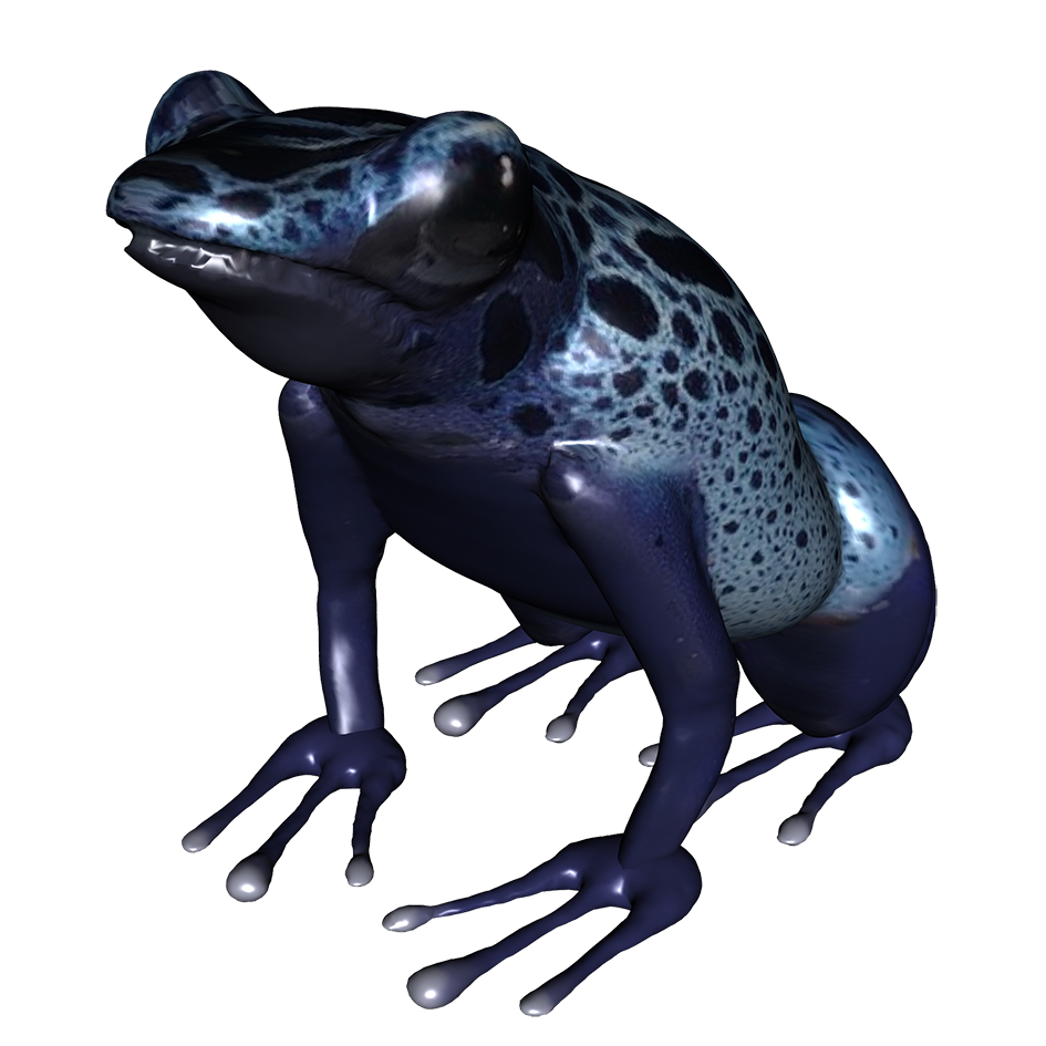 945x945 Frog Clip Art