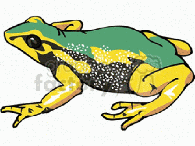 640x480 Poison Dart Frog Clipart Clip Art