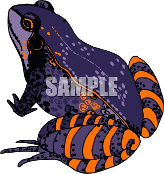 330x350 Purple And Orange Frog
