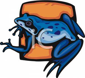 300x275 Blue Frog On An Orange Background