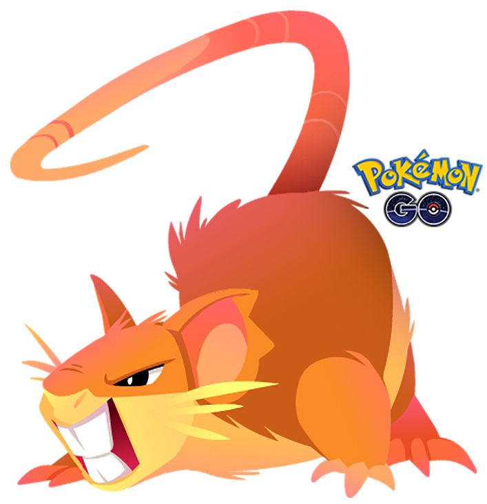 707x732 Clipart De Raticate