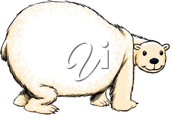 350x243 Picture Of Chubby Cartoon Polar Bear On White Background In