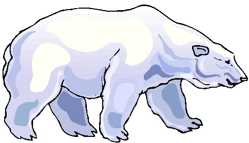 490x282 Polar Bear Clipart