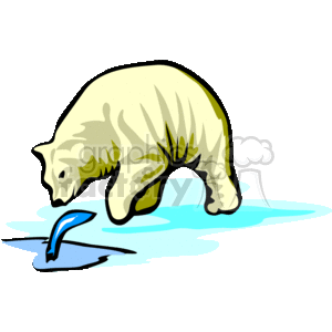300x300 Royalty Free Polar Bear Fishing 130025 Vector Clip Art Image