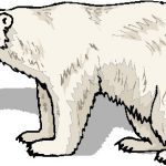 150x150 Polar Bear Clip Art Top 83 Polar Bear Clipart Free Clipart Spot