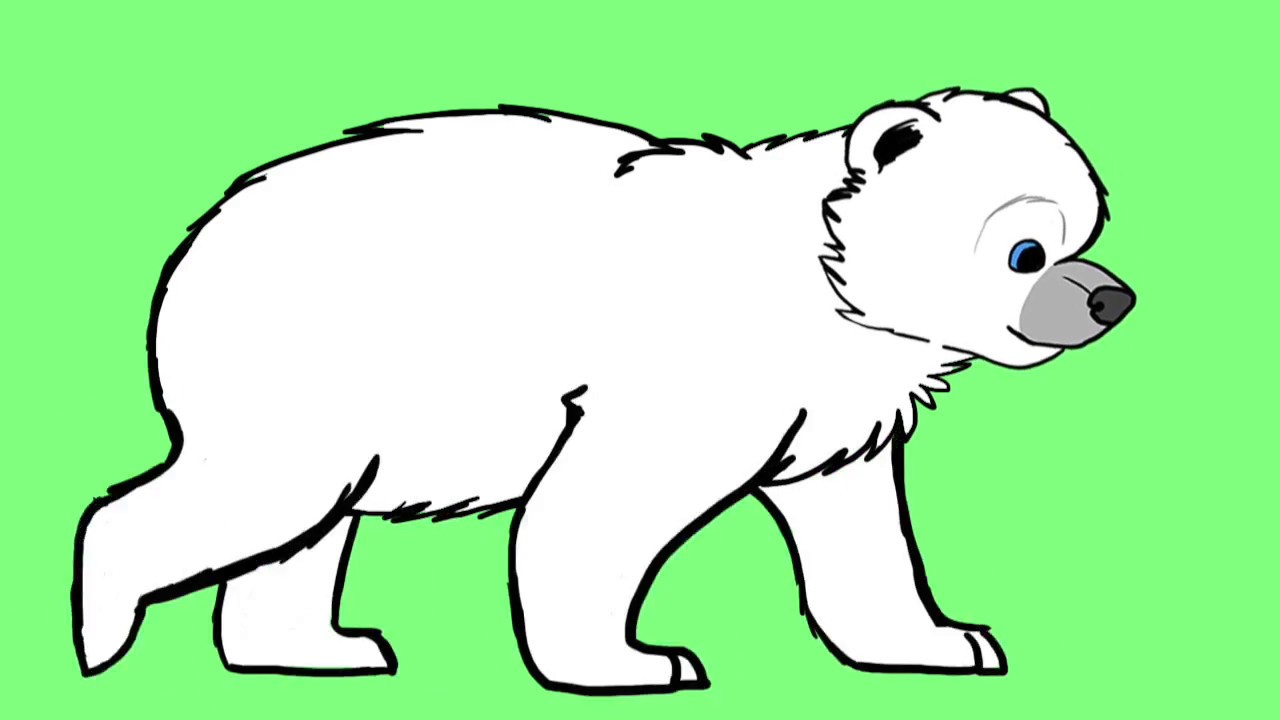 1280x720 Polar Bear Cub Walk Cycle