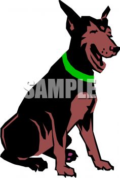 237x350 Picture Of A Doberman Pinscher Sitting Down In A Vector Clip Art