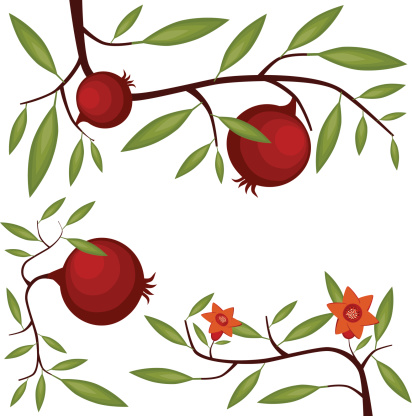 412x416 Pomegranate Blossom Clipart