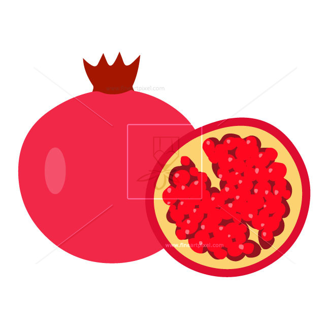 650x650 Pomegranate Illustration Free Vectors, Illustrations, Graphics