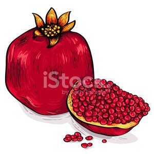300x300 Pomegranate Premium Clipart