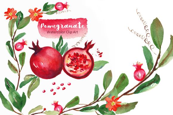 580x387 Pomegranate. Watercolor Clip Art Watercolor And Illustrations