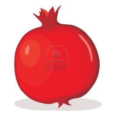 400x400 Best Of Pomegranate Clipart