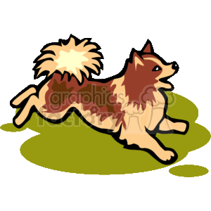 Pomeranian Clipart